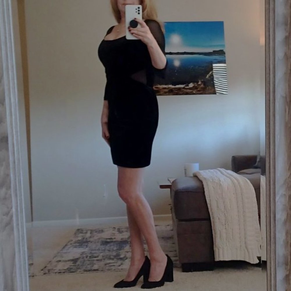 Bardot Velvet & Mesh Dress - Picture 10 of 10